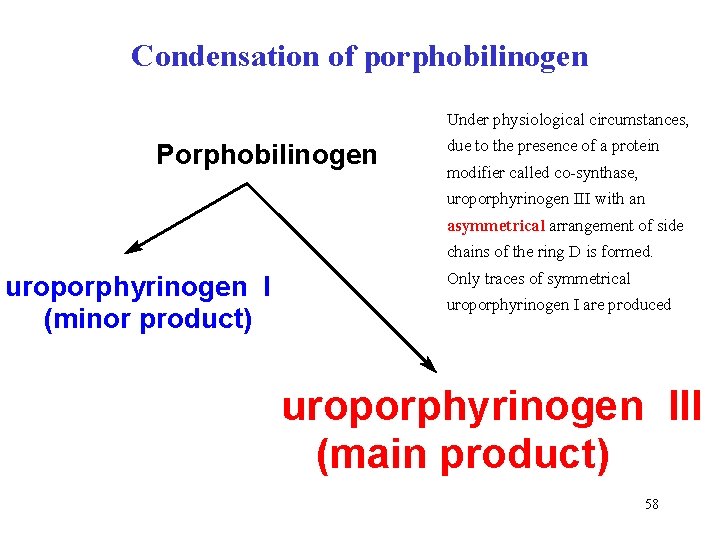 Condensation of porphobilinogen Under physiological circumstances, Porphobilinogen due to the presence of a protein