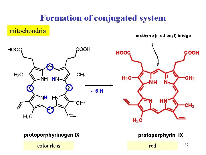 Formation of conjugated system mitochondria methyne (methenyl) bridge COOH HOOC H 3 C NH