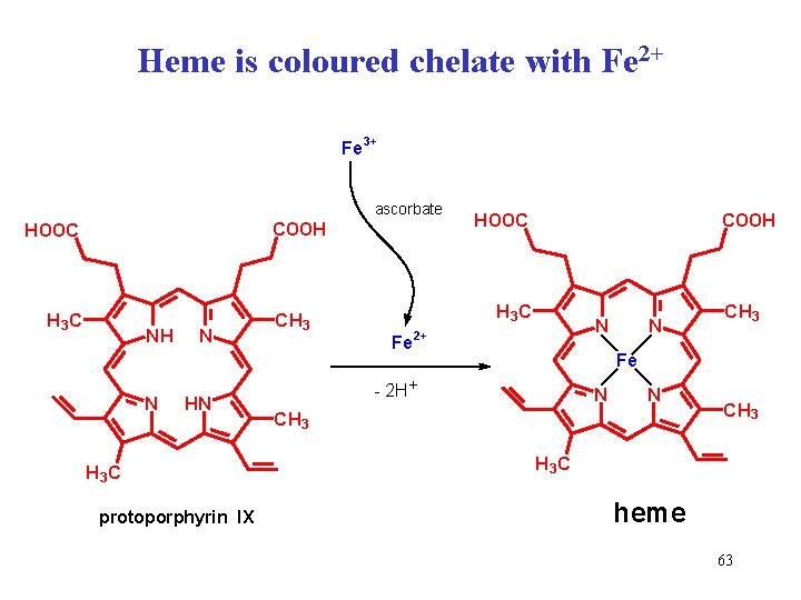 Heme is coloured chelate with Fe 2+ Fe 3+ ascorbate COOH HOOC H 3