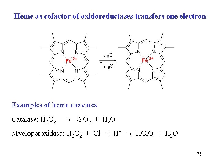 Heme as cofactor of oxidoreductases transfers one electron Examples of heme enzymes Catalase: H