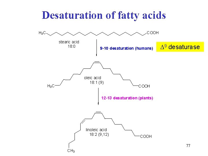 Desaturation of fatty acids H 3 C COOH stearic acid 18: 0 9 -10