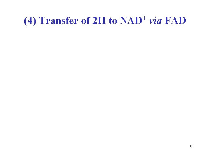 (4) Transfer of 2 H to NAD+ via FAD 9 