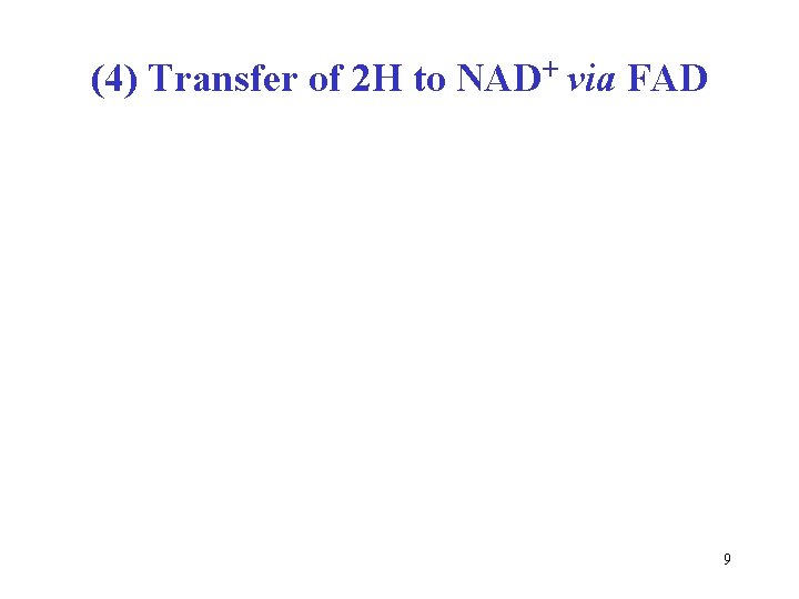 (4) Transfer of 2 H to NAD+ via FAD 9 