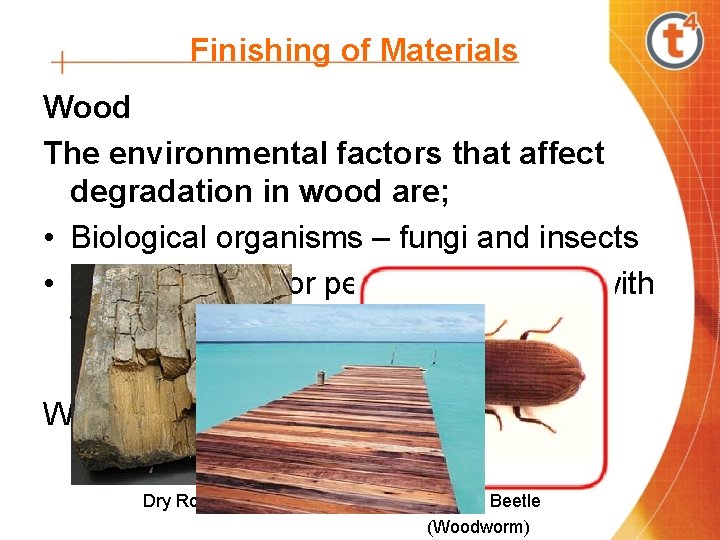 Finishing of Materials Wood The environmental factors that affect degradation in wood are; •