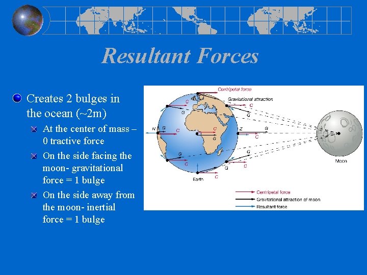Resultant Forces Creates 2 bulges in the ocean (~2 m) At the center of