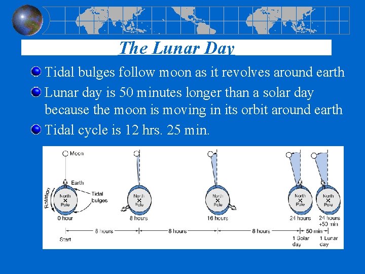 The Lunar Day Tidal bulges follow moon as it revolves around earth Lunar day