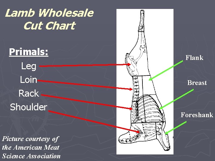 Lamb Wholesale Cut Chart Primals: Leg Loin Rack Shoulder Picture courtesy of the American