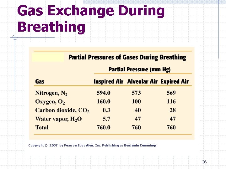 Gas Exchange During Breathing Copyright © 2007 by Pearson Education, Inc. Publishing as Benjamin