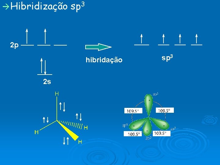  Hibridização sp 3 2 p hibridação 2 s sp 3 