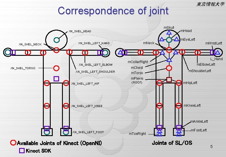 東京情報大学 Correspondence of joint m. Skull XN_SKEL_HEAD XN_SKEL_NECK m. Neck XN_SKEL_LEFT_HAND XN_SKEL_LEFT_ELBOW XN_SKEL_TORSO XN_SKEL_LEFT_SHOULDER