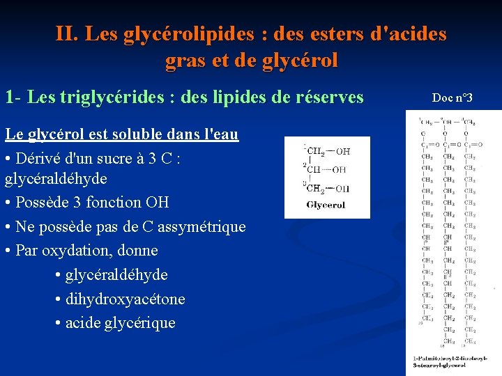 II. Les glycérolipides : des esters d'acides gras et de glycérol 1 - Les