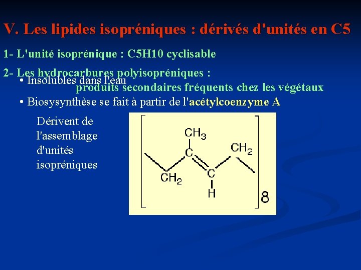 V. Les lipides isopréniques : dérivés d'unités en C 5 1 - L'unité isoprénique