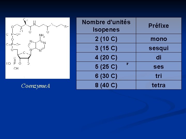 Nombre d'unités Isopenes 2 (10 C) 3 (15 C) Coenzyme. A 4 (20 C)