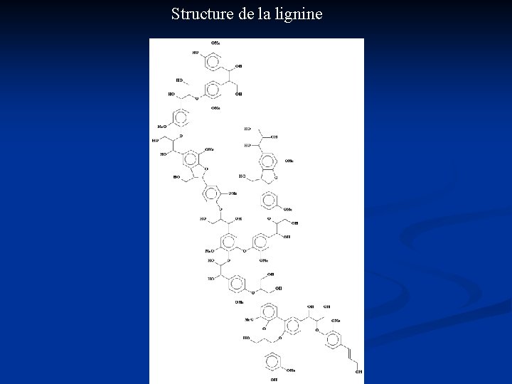 Structure de la lignine 