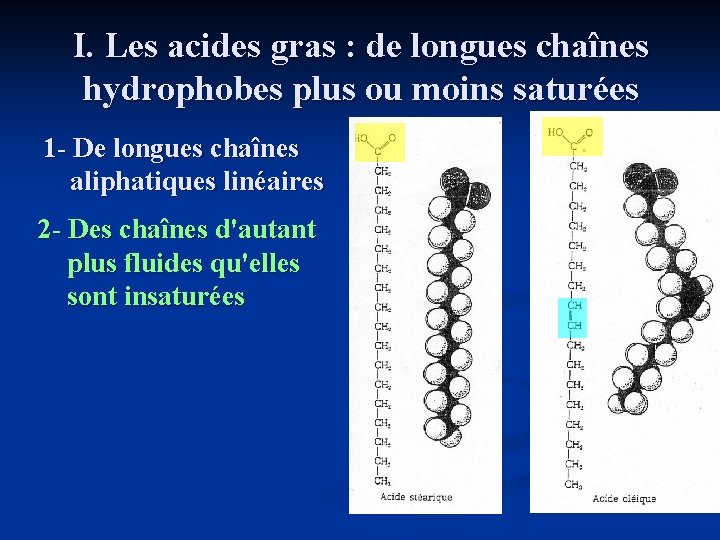 I. Les acides gras : de longues chaînes hydrophobes plus ou moins saturées 1