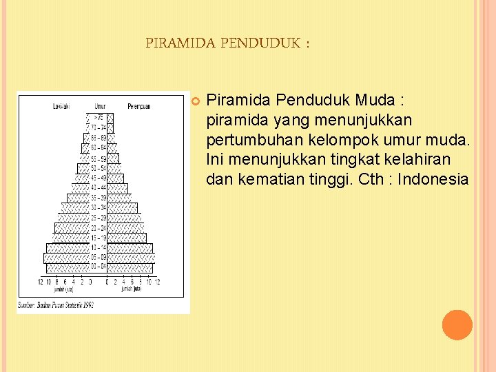 PIRAMIDA PENDUDUK : Piramida Penduduk Muda : piramida yang menunjukkan pertumbuhan kelompok umur muda.