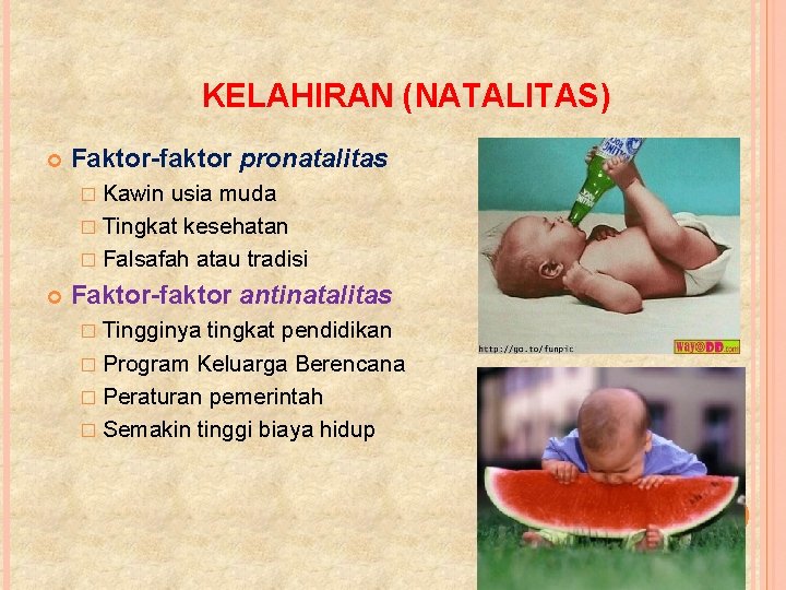 KELAHIRAN (NATALITAS) Faktor-faktor pronatalitas � Kawin usia muda � Tingkat kesehatan � Falsafah atau