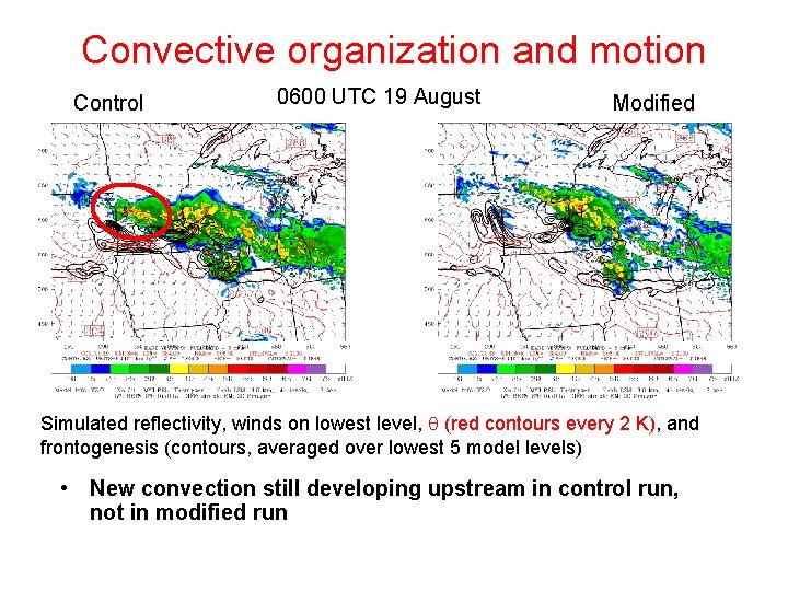 Convective organization and motion Control 0600 UTC 19 August Modified Simulated reflectivity, winds on