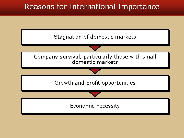 Reasons for International Importance Stagnation of domestic markets Company survival, particularly those with small
