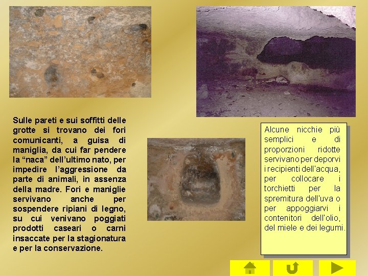 Sulle pareti e sui soffitti delle grotte si trovano dei fori comunicanti, a guisa Sulle pareti e sui soffitti delle grotte si trovano dei fori comunicanti, a guisa