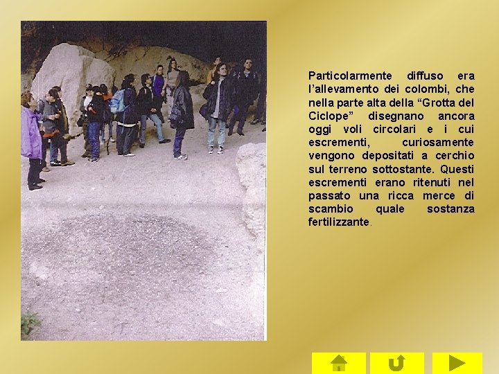 Particolarmente diffuso era l’allevamento dei colombi, che nella parte alta della “Grotta del Ciclope” Particolarmente diffuso era l’allevamento dei colombi, che nella parte alta della “Grotta del Ciclope”