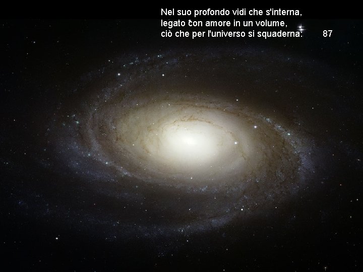 Nel suo profondo vidi che s'interna, legato con amore in un volume, ciò che
