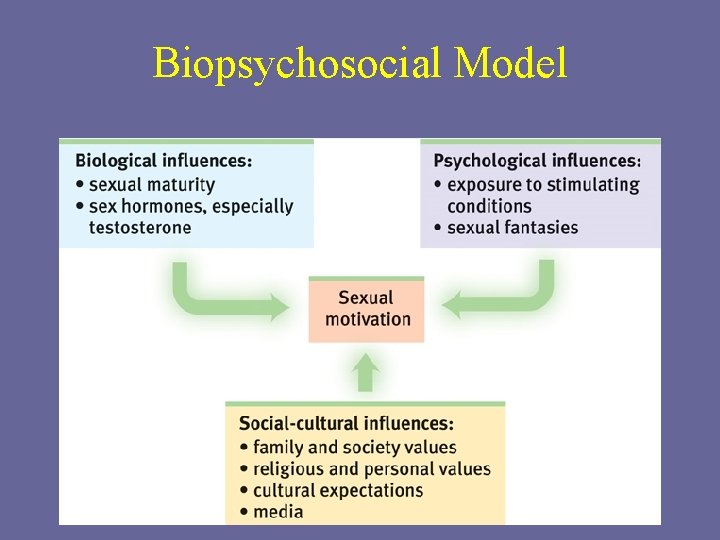 Biopsychosocial Model 