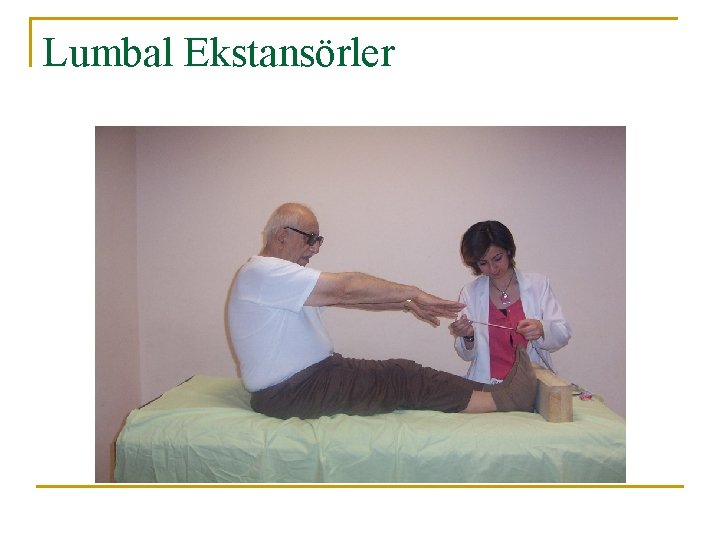 Lumbal Ekstansörler 