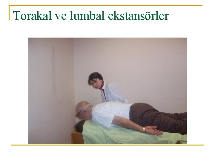 Torakal ve lumbal ekstansörler 