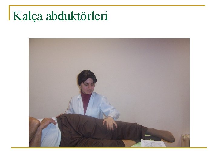 Kalça abduktörleri 