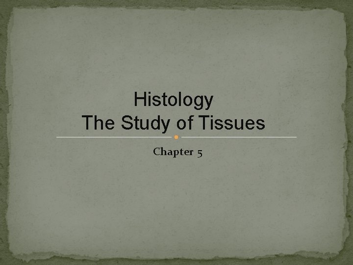 Histology The Study of Tissues Chapter 5 