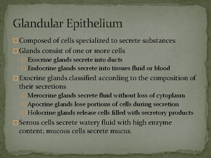 Glandular Epithelium � Composed of cells specialized to secrete substances � Glands consist of