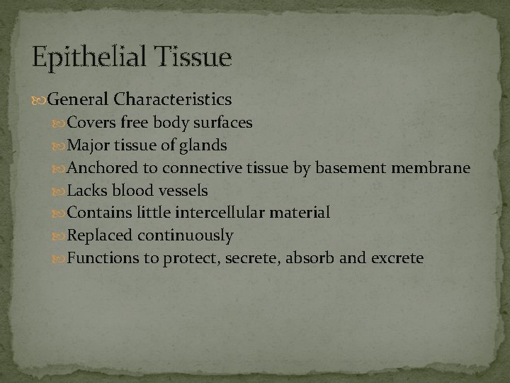 Epithelial Tissue General Characteristics Covers free body surfaces Major tissue of glands Anchored to