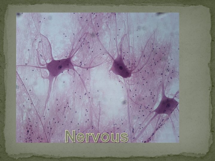 Nervous 