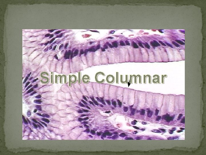 Simple Columnar 