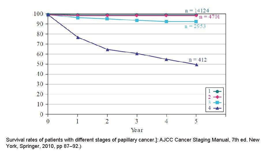 Survival rates of patients with different stages of papillary cancer. ]: AJCC Cancer Staging