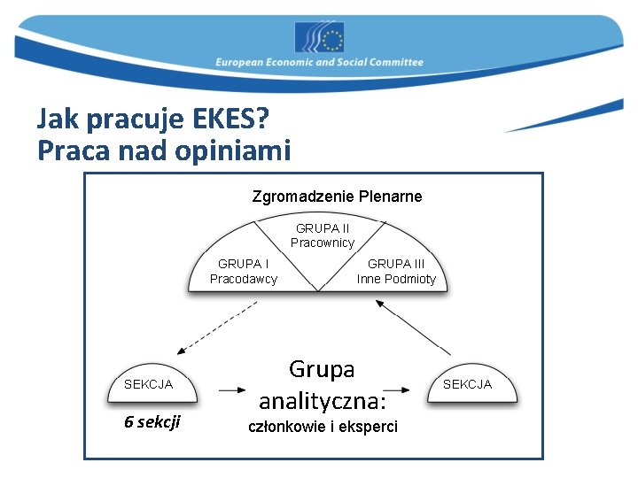 Jak pracuje EKES? Praca nad opiniami Zgromadzenie Plenarne GRUPA II Pracownicy GRUPA I Pracodawcy