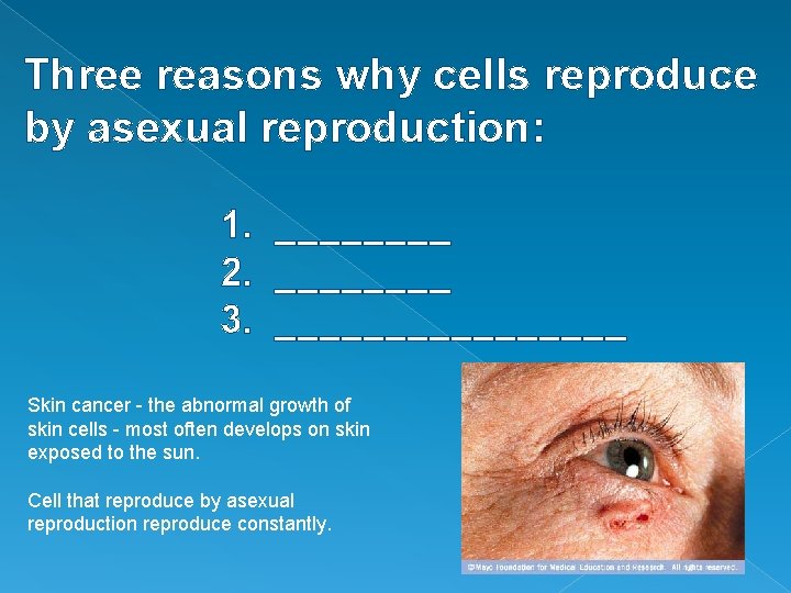 Three reasons why cells reproduce by asexual reproduction: 1. ____ 2. ____ 3. ________