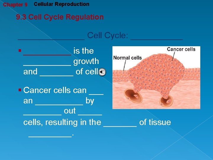 Chapter 9 Cellular Reproduction 9. 3 Cell Cycle Regulation _______ Cell Cycle: ______ §