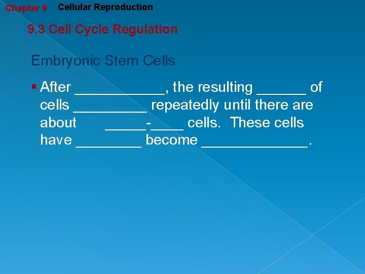 Chapter 9 Cellular Reproduction 9. 3 Cell Cycle Regulation Embryonic Stem Cells § After