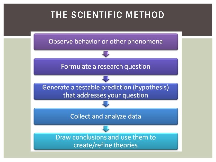 THE SCIENTIFIC METHOD THE SCIENTIFIC METHOD