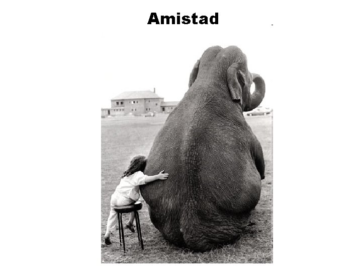 Amistad 