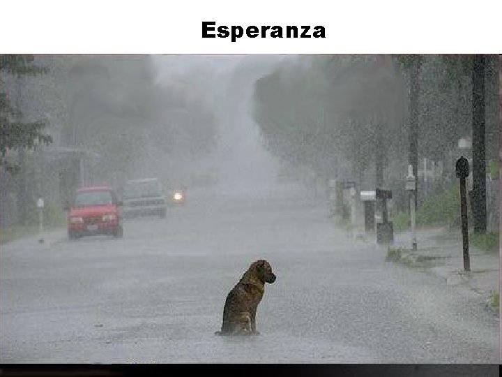 Esperanza 