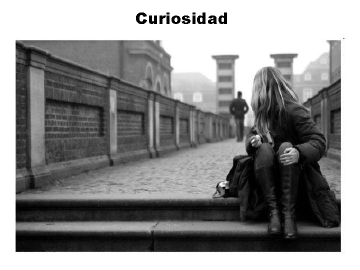 Curiosidad 