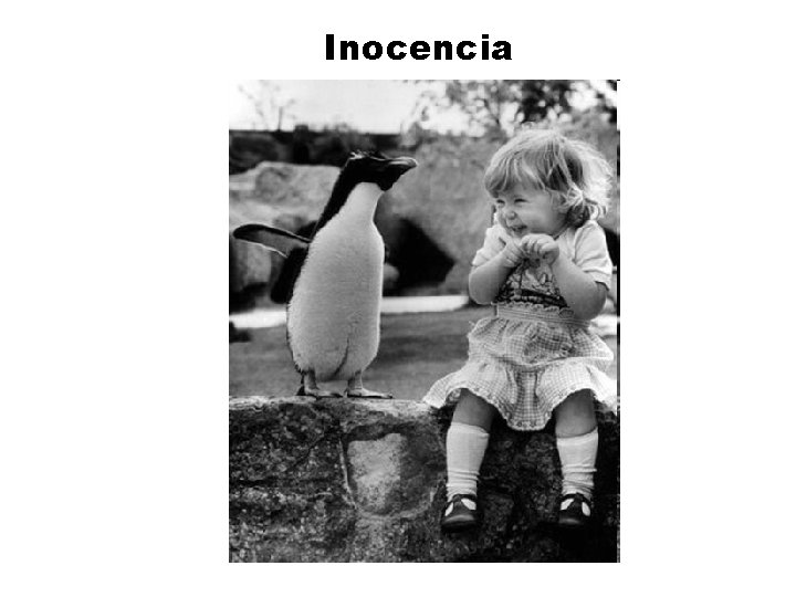Inocencia 