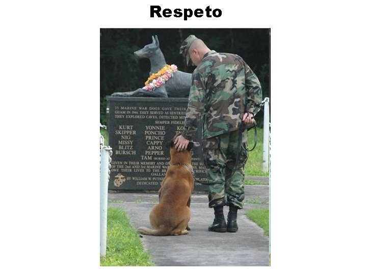 Respeto 