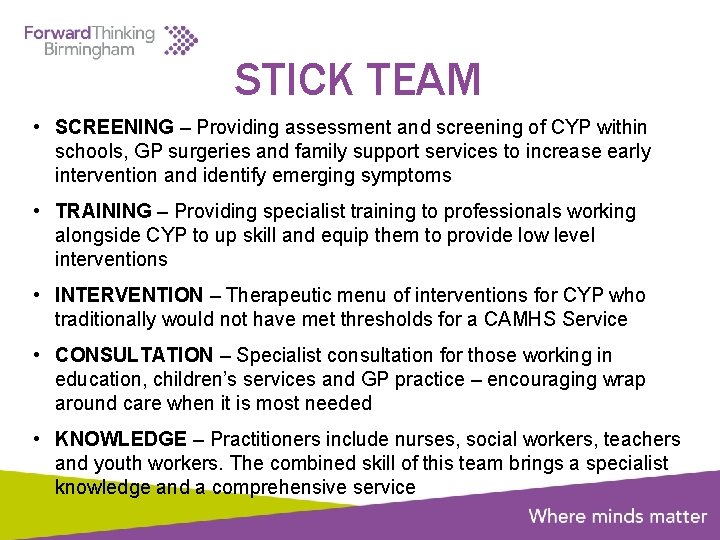 STICK TEAM • SCREENING – Providing assessment and screening of CYP within schools, GP