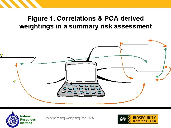 Figure 1. Correlations & PCA derived weightings in a summary risk assessment Incorporating weighting