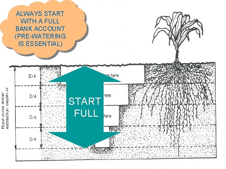 ALWAYS START WITH A FULL BANK ACCOUNT (PRE-WATERING IS ESSENTIAL) START FULL 