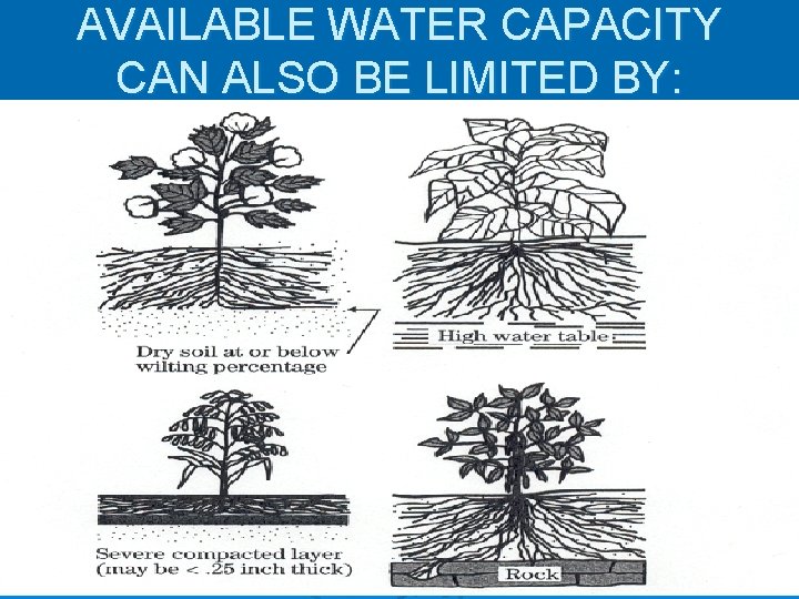 AVAILABLE WATER CAPACITY CAN ALSO BE LIMITED BY: 